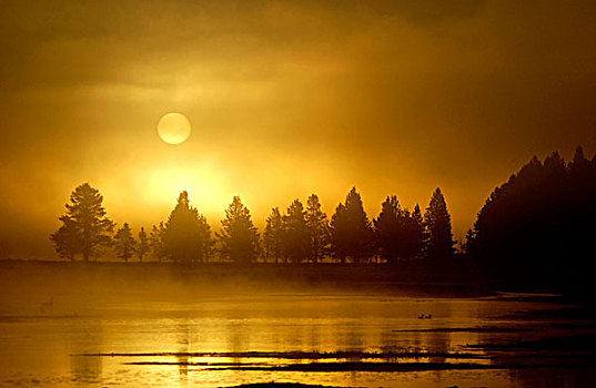 模糊,日出,上方,水,黄石国家公园,美国