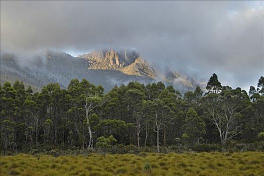 晨雾,靠近,小屋,奥弗兰,摇篮山,国家公园,塔斯马尼亚,澳大利亚