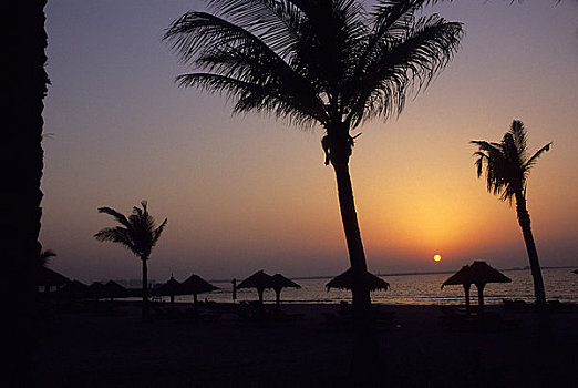 阿联酋,迪拜,海滩,日落