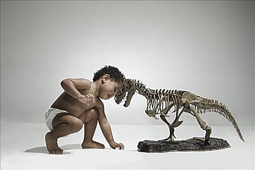 幼儿,恐龙,骨骼