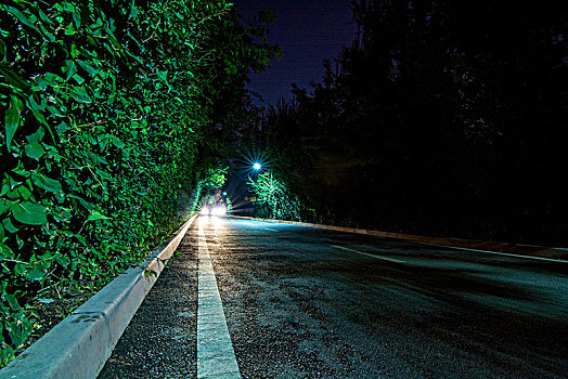 林荫道夜景道路特写