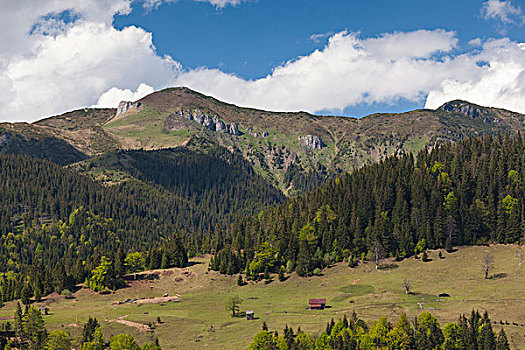 罗马尼亚,马拉穆列什,区域,山,国家公园,风景