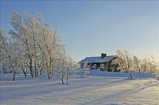 芬兰,拉普兰,积雪,房子