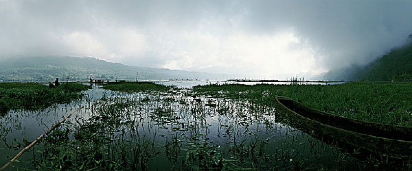 印度尼西亚,湿地,风景,全景