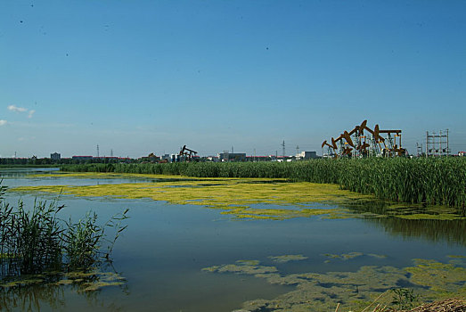 大庆油田,采油,景观