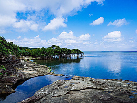 海岸,岛屿,冲绳,日本