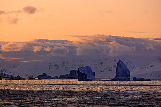 南极半岛,湾,冰山