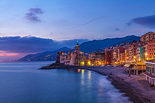 风景,海滩,酒店,黄昏,卡莫利,利古里亚,意大利