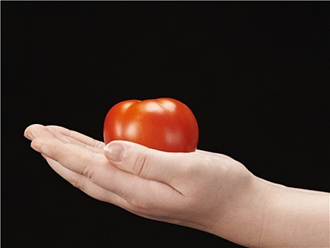西红柿,孩子,手掌,面对,向上