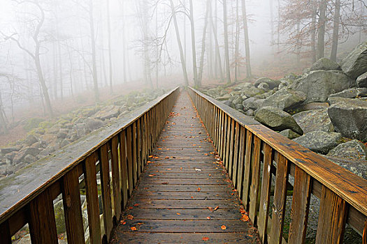 木桥,早晨,雾气,奥登瓦尔德,黑森州,德国,欧洲