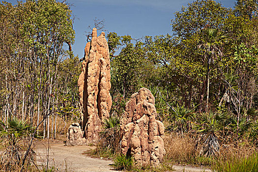 大教堂,国家公园,北领地州,澳大利亚