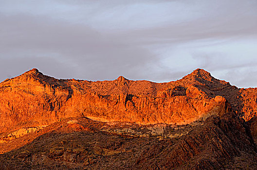 美国,亚利桑那,管风琴仙人掌国家保护区,日落,特写