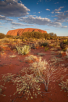 澳大利亚,北领地州,乌卢鲁卡塔曲塔国家公园,夕阳,红色,沙漠,围绕,艾尔斯岩,夏天,晚间