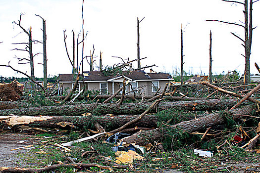 家,树,毁坏,风暴,石灰石,阿拉巴马,美国