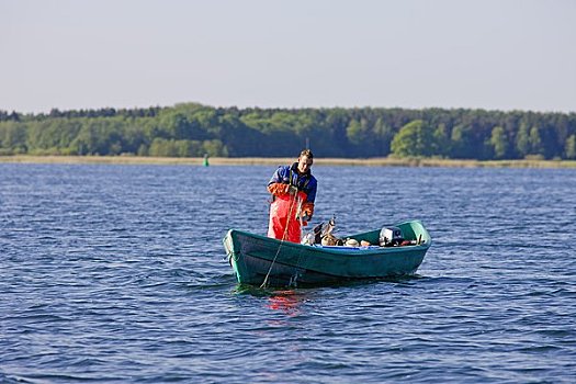 钓鱼,男人,湖,梅克伦堡州,德国