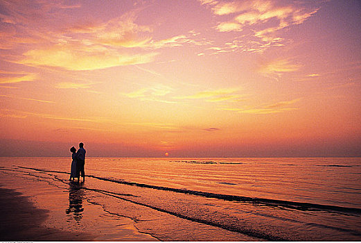 夫妻,搂抱,海浪,海滩,日落