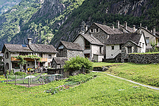 小,历史,乡村,提契诺河,瑞士,欧洲