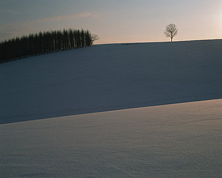 雪,山,黎明