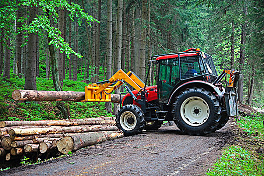 拖拉机,举起,切削,树,堆,挨着,道路,木头