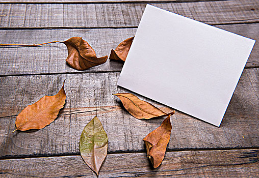 空白卡片,枯叶,木板,背景素材