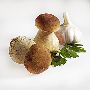牛肝菌,便士,蘑菇,蒜,西芹,白色背景