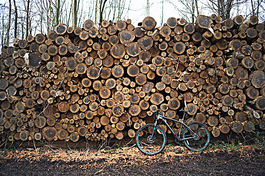 自行车,倚靠,一堆,原木