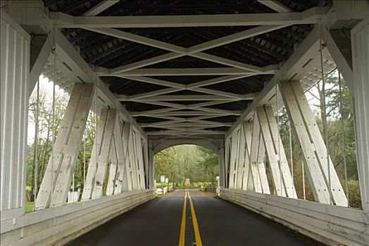 道路,通过,风雨桥,路边,公园,俄勒冈,美国
