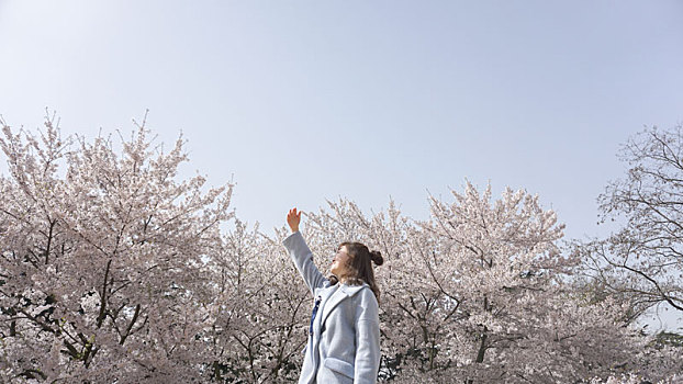 樱花树前伸手遮住太阳的女孩侧身照