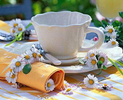 雏菊属,小,花束,餐巾环,黄色,餐巾