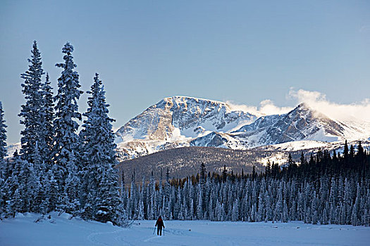女性,雪鞋,遮盖,湖,积雪,常绿植物,山峦,云,顶峰,阳光,蓝天,路易斯湖,艾伯塔省,加拿大