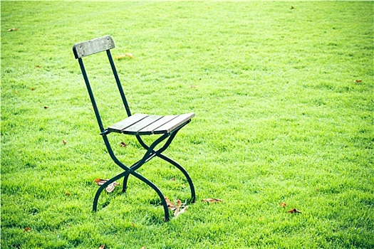 椅子,草地