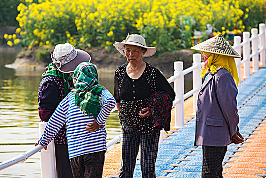 江苏,姜堰市,兴化,油菜花,风光,春天,船