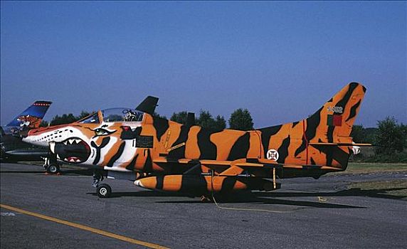 虎,描绘,空军,飞机