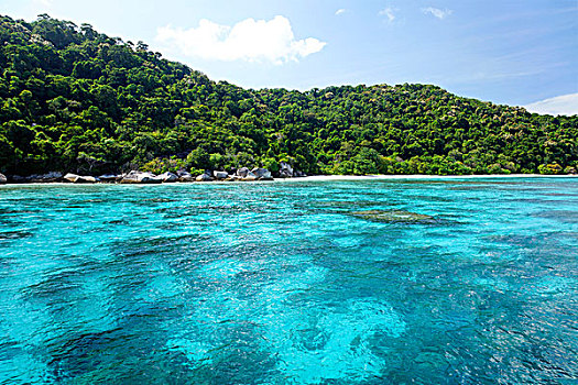 蓝色,泻湖,珊瑚,正面,绿色,岛屿,风景,清水,斯米兰群岛,安达曼海,印度洋,普吉岛,泰国,亚洲