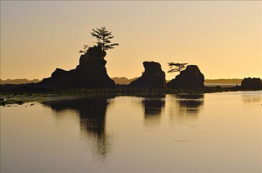 独块巨石,石头,雅奎纳,头部,州立公园,俄勒冈,美国,北美