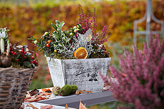 秋天,安放,石南花,装饰,辣椒,卫茅属植物,木质,花园桌