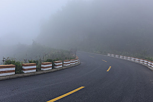 浓雾道路