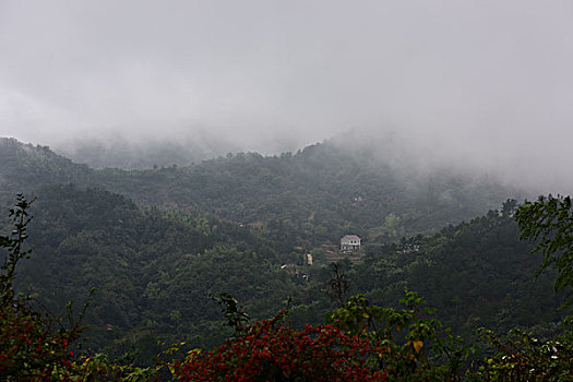 浓雾山村