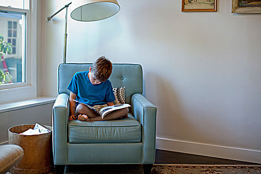 男孩,读,书本,扶手椅