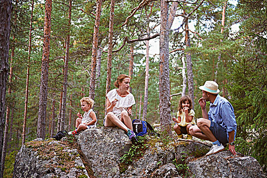 家庭,坐,石头,树林,吃,野餐