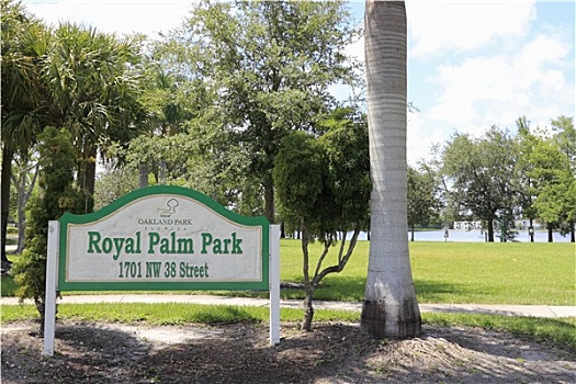 皇家,棕榈树,公园,标识