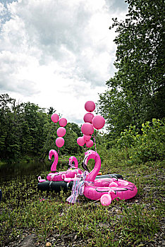充气,火烈鸟,粉色,气球,乡村地区