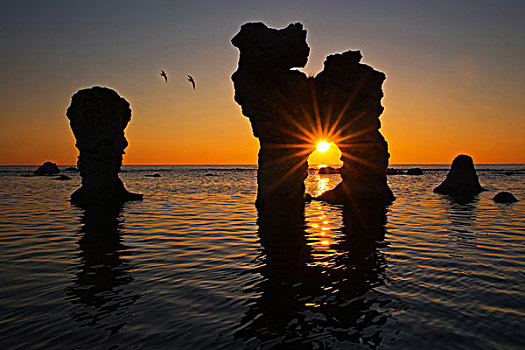 石头,岛屿,法鲁,靠近,哥特兰岛,瑞典,剪影,落日