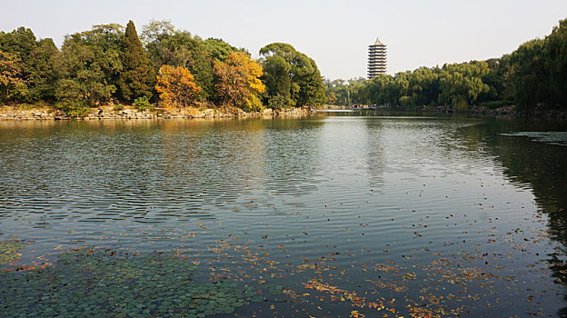 北京大学博雅塔未名湖