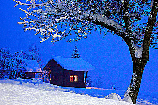 法国,隆河阿尔卑斯山省,阿尔卑斯山,上萨瓦省,木房子,下雪,风景,夜晚