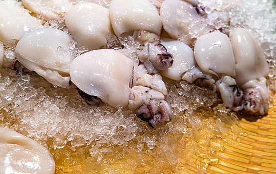 冰块上的冷冻海鲜墨鱼仔食材