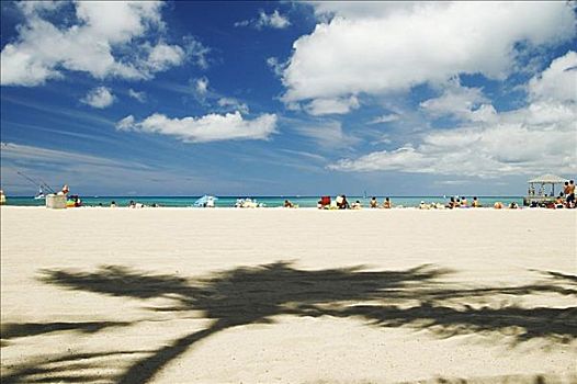 夏威夷,瓦胡岛,怀基基海滩,海滩,拥挤,游客,大,棕榈树,影子,前景