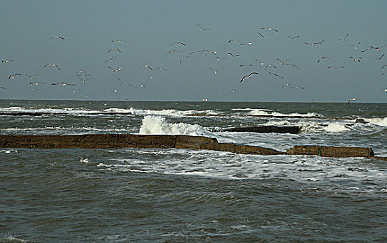 海滨风景