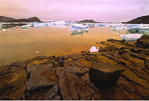 海冰,岩石,海岸线,艾利斯摩尔岛,加拿大