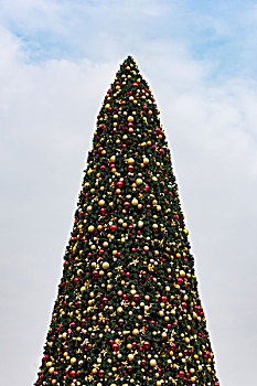 圣诞节,圣诞树